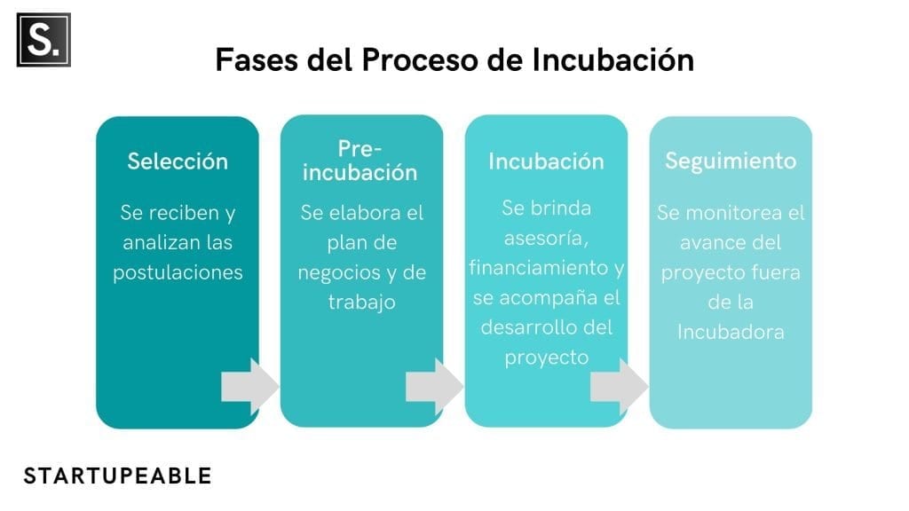 las 4 fases del proceso de incubación de empresas
